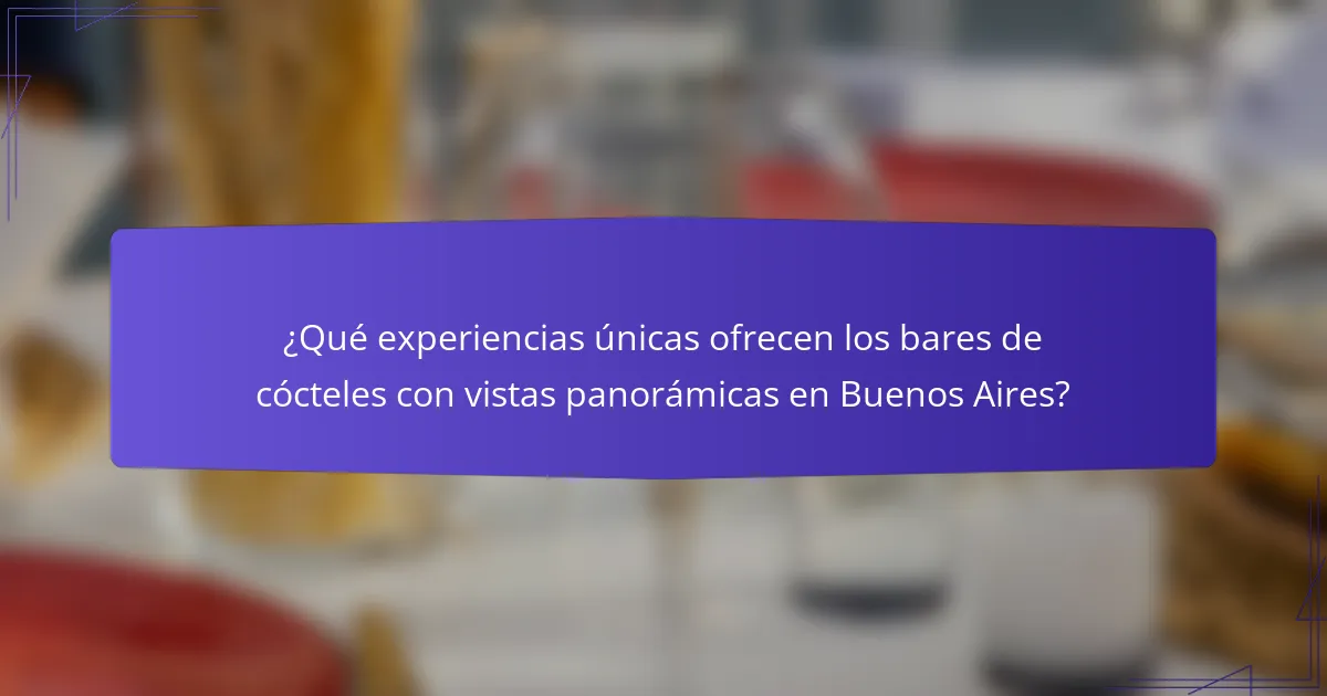 ¿Qué experiencias únicas ofrecen los bares de cócteles con vistas panorámicas en Buenos Aires?
