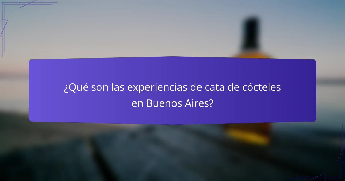 ¿Qué son las experiencias de cata de cócteles en Buenos Aires?