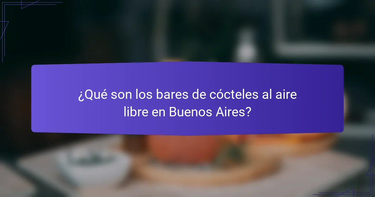 ¿Qué son los bares de cócteles al aire libre en Buenos Aires?